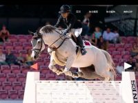 中国马术协会官网