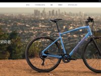 SPECIALIZED闪电自行车官网