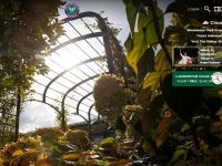 温布尔登网球锦标赛官网