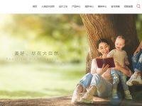 大自然地板官网