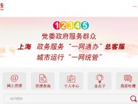 上海12345官网