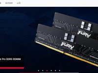 Kingston金士顿官网